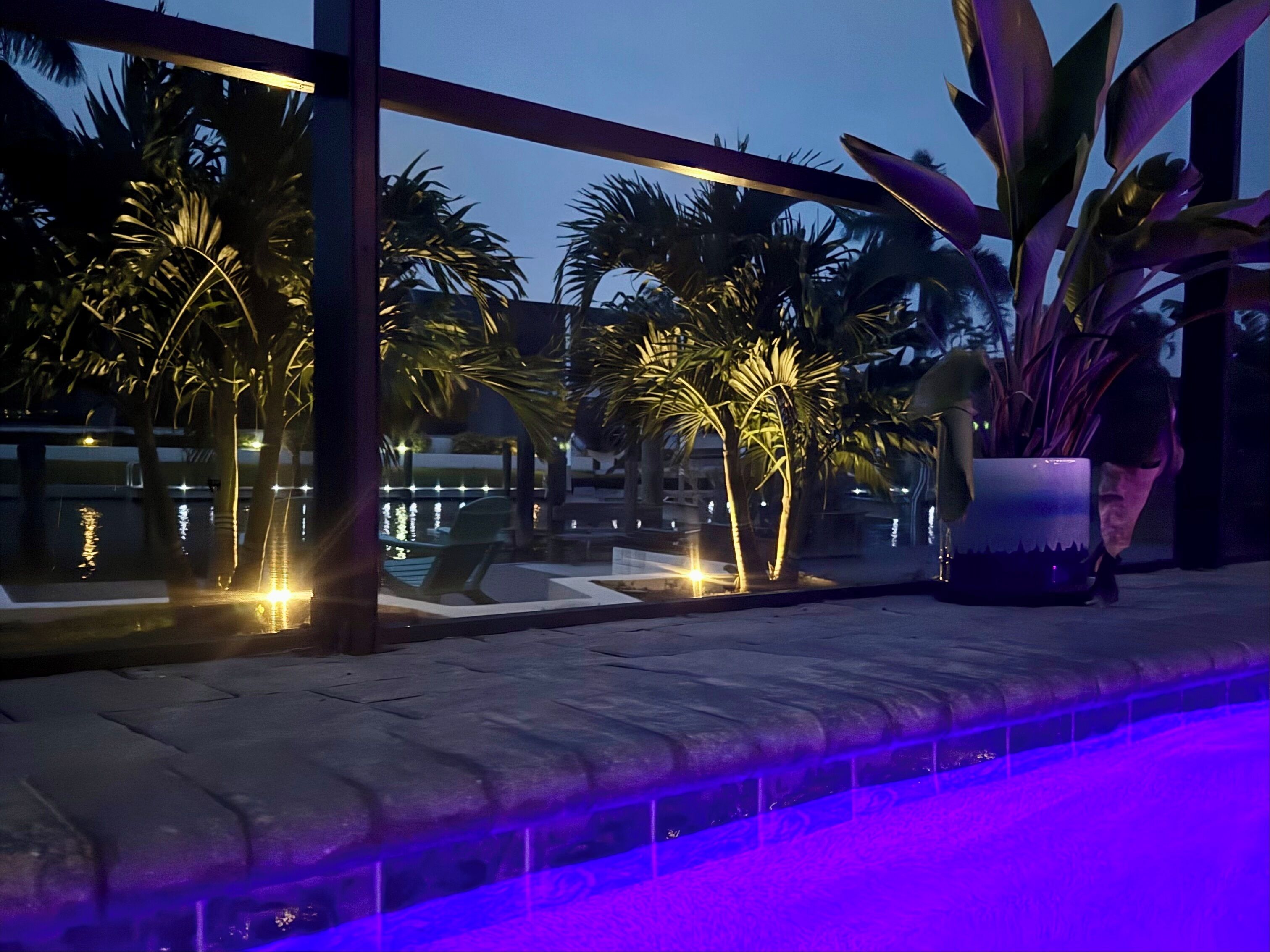 A poolside area with palm trees and a water feature.