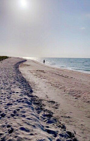 Sun-loungers, beach towels - Beautiful canal view, direct Gulf access, gorgeous heated saltwater pool! (Cape Coral)