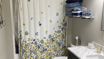 Ensemble douche/baignoire, sèche-cheveux, serviettes fournies, savon