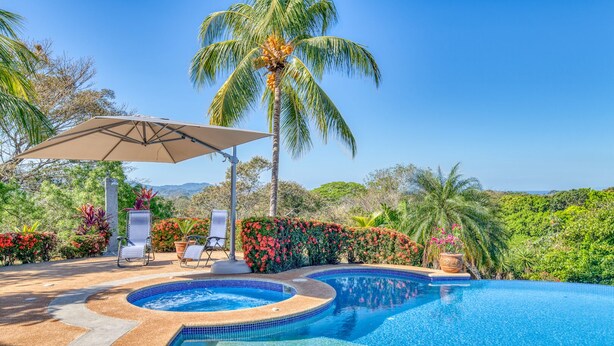 Ein Pool mit geschwungener Kante, umgeben von üppiger Vegetation und Palmen.