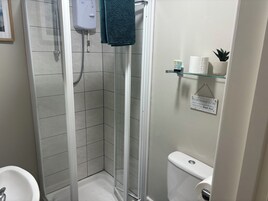 A bathroom with a glass shower enclosure, a toilet, a sink, and a shelf with toiletries.