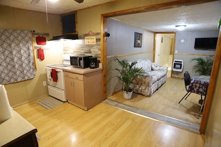 A compact living space with a kitchenette, a sofa, a dining table, and a potted plant.