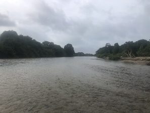 A river with dense foliage on both sides. - Secluded Forest mountain cabana with magnificent view (Tayrona)