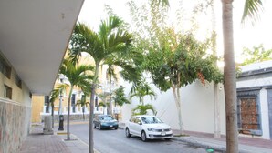 A street lined with palm trees and parked cars, with buildings on either side.