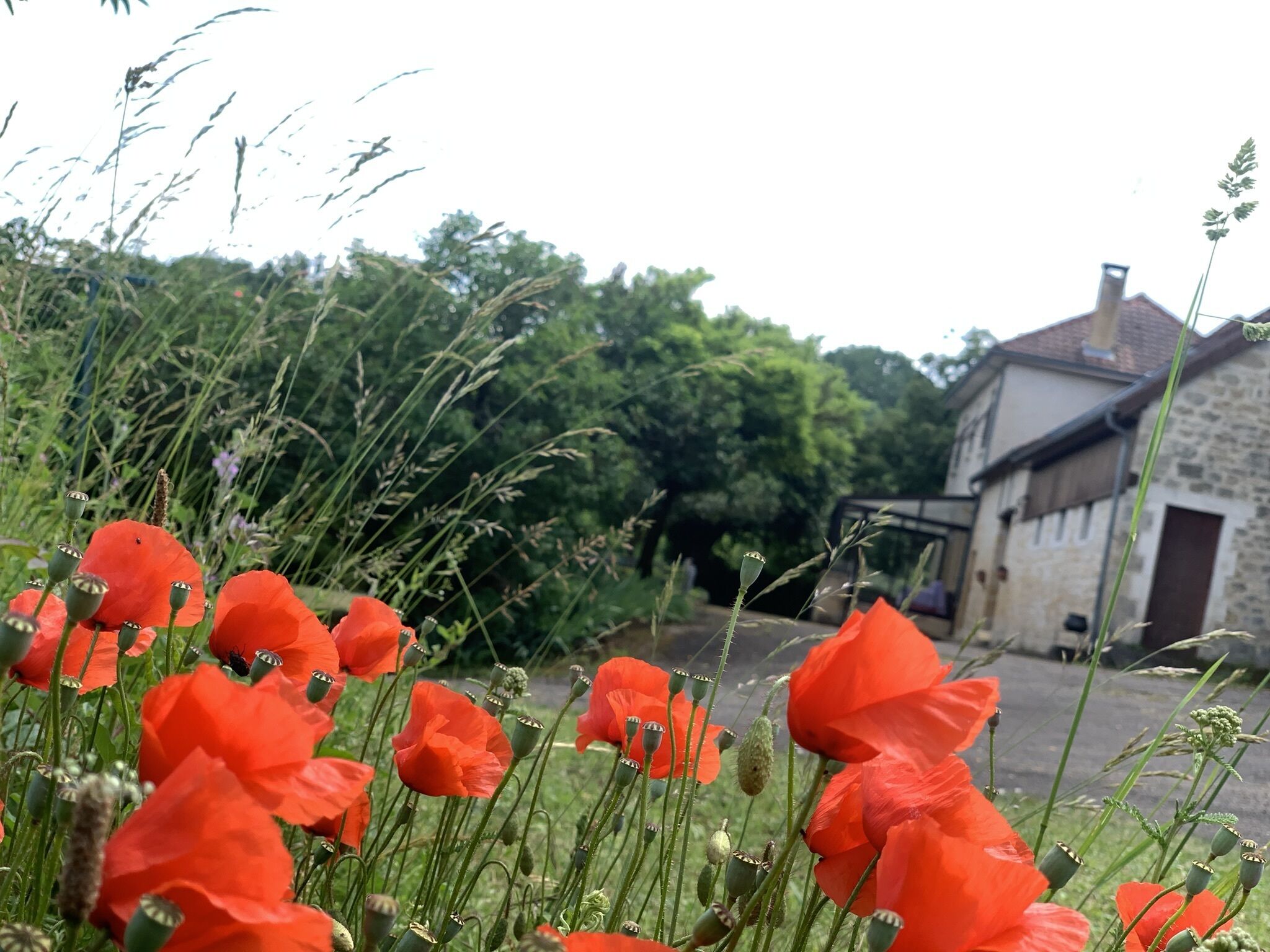Àrea exterior de l'allotjament