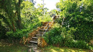 A stone staircase surrounded by lush greenery, leading up to a stone wall.
