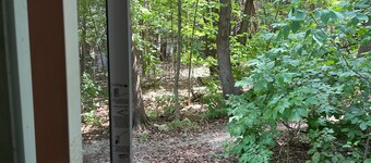 Great location 2 minutes Walking to downtown and to the lake