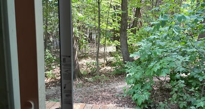 Great location 2 minutes Walking to downtown and to the lake