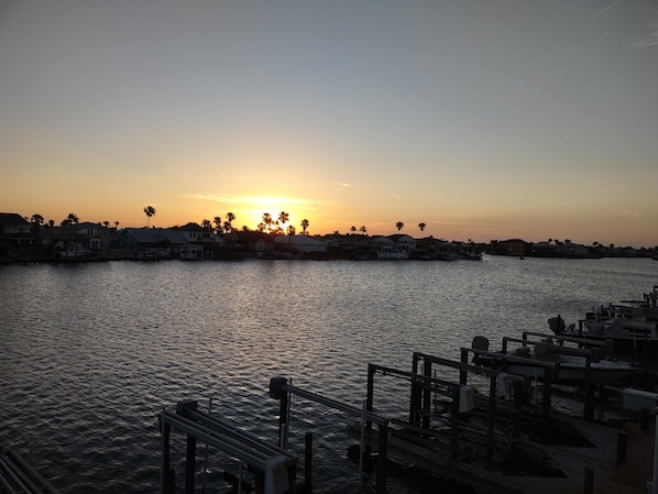 Waterfront scene with boats docked at the marina, surrounded by palm trees.