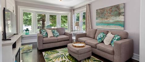 Smart TV, chimenea, reproductor de DVD y libros