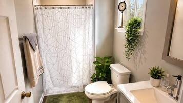 Shower, hair dryer, bidet, towels
