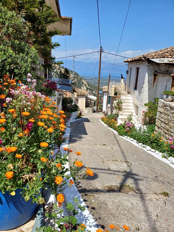 Property grounds - Stone house with pool and view to the sea (Αίγιο)