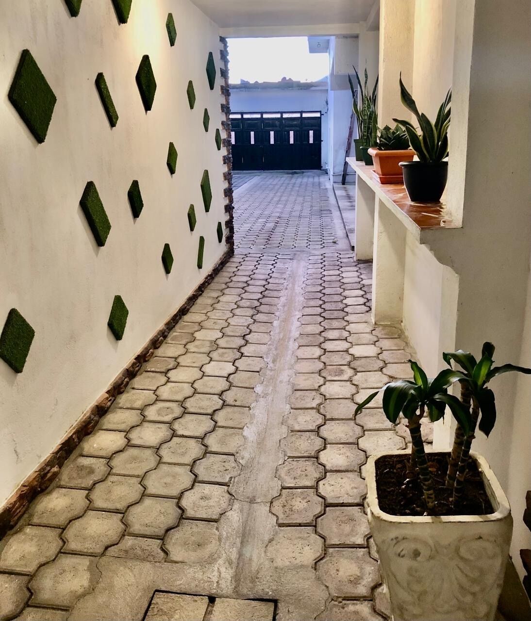 A hallway with hexagonal patterned tiles, green wall decorations, and potted plants.