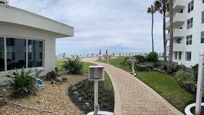 A pathway leading to a beach with palm trees and a modern building with large windows. - Beach front home away from home (Daytona Beach)