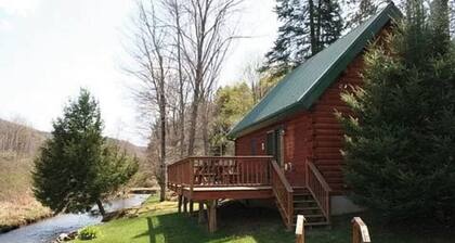 Cozy Cabin on the banks of the Creek!
