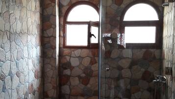 Combined shower/bathtub, bidet