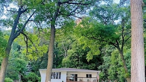 A house with a large front yard, surrounded by trees.