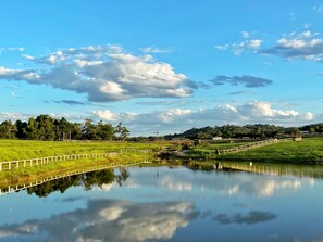 Exterior - Kur Cow farm (Kuranda)
