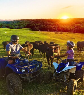 Baari (majoituspaikassa)