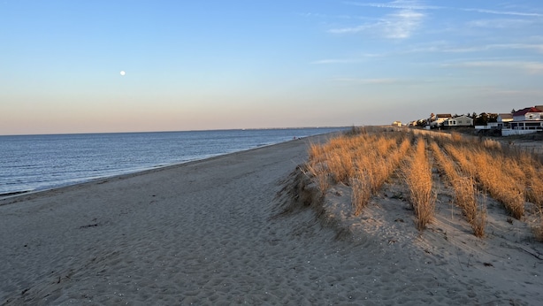 A beach with a clear sky, a sandy shore, and houses in the background. - Broadkill Beach House- Dog Friendly! Sleeps 13 (Milton)