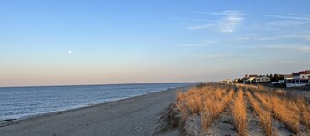 Broadkill Beach House- Dog Friendly!