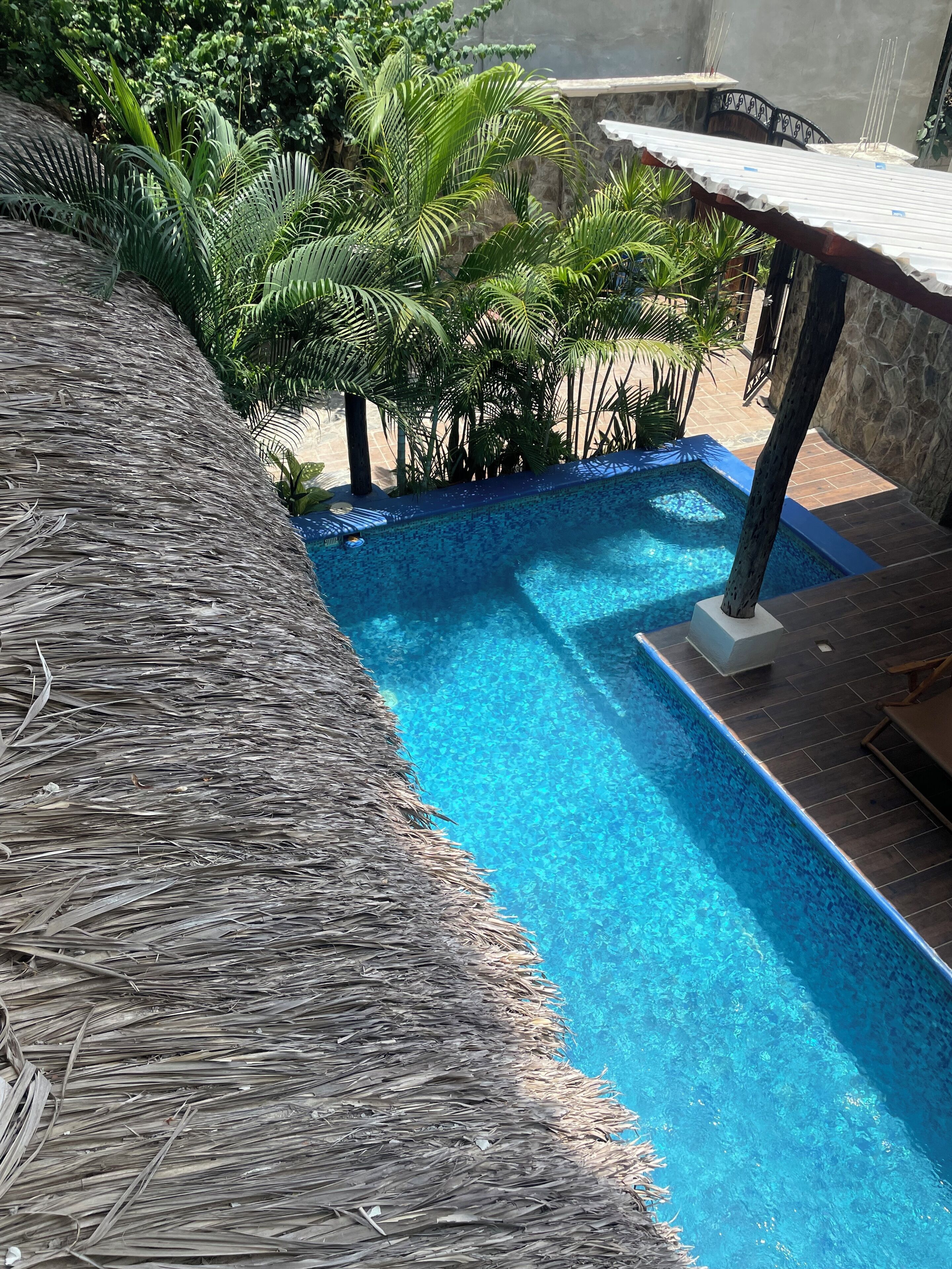 A clear blue swimming pool with a thatched roof and palm trees in the background.