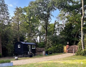 Imagem sem classificação, 5 de 19, botão