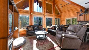 Smart TV, fireplace, DVD player, books