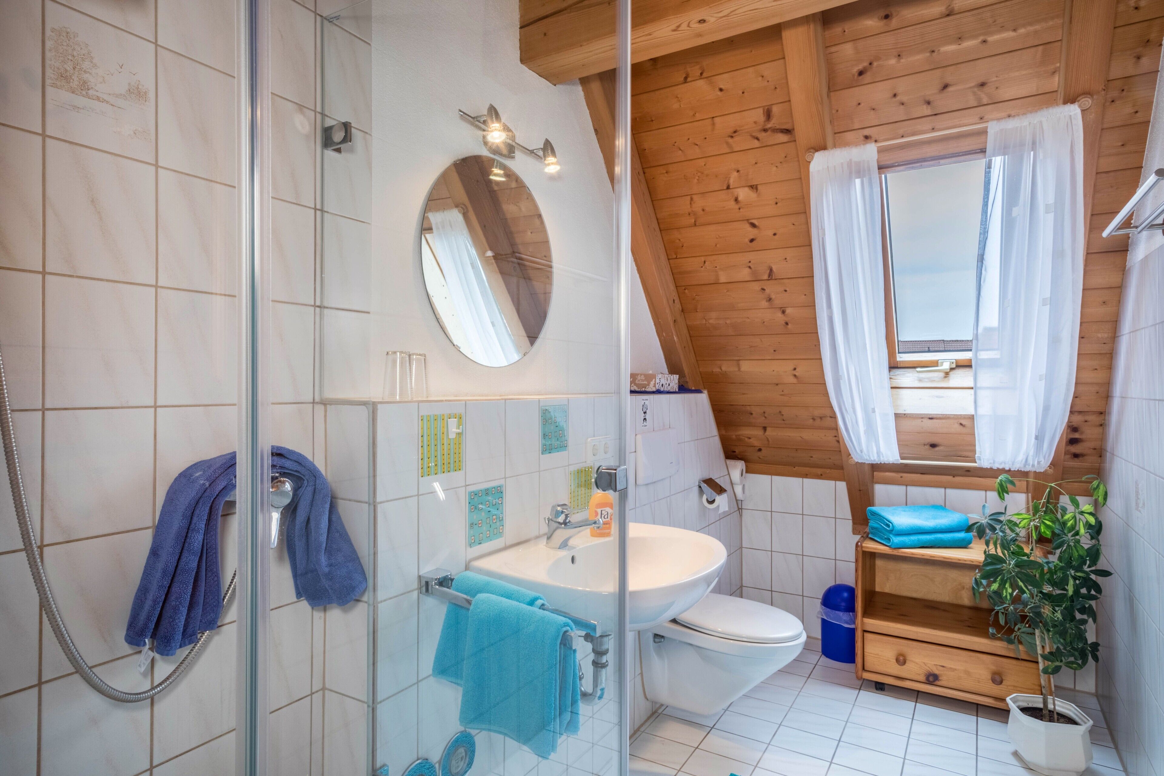 Dusche, Haartrockner, Handtücher