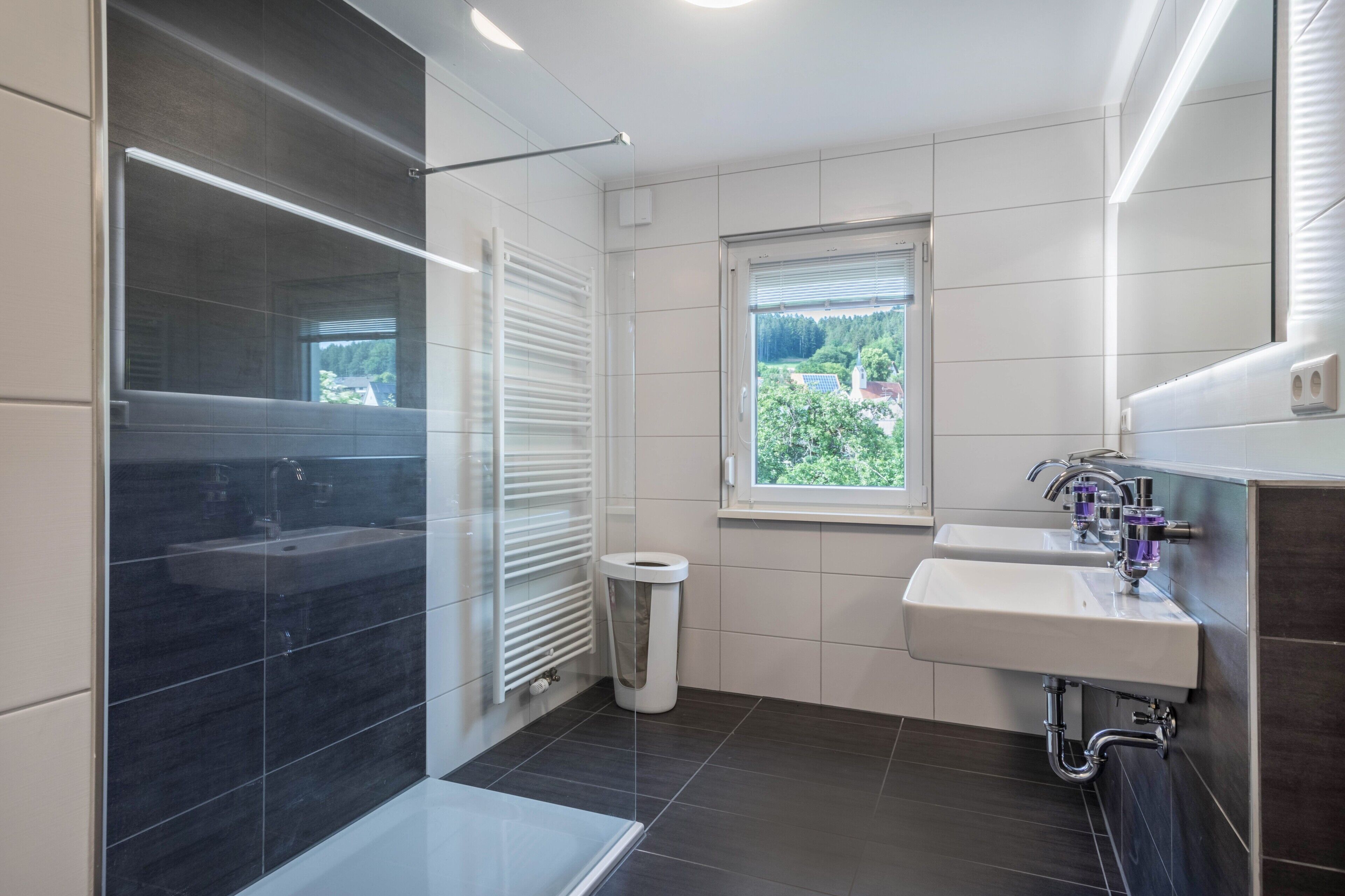 Regadera, amenidades de baño gratuitas, secadora de cabello, toallas 