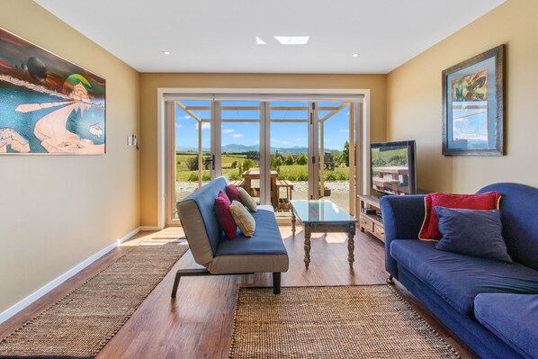 TV, DVD player, books