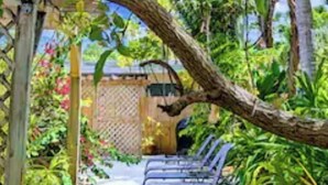 Un arbre aux fruits verts, une structure en bois et une clôture, le tout dans un cadre de jardin.
