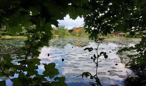 Overnatningsstedets område