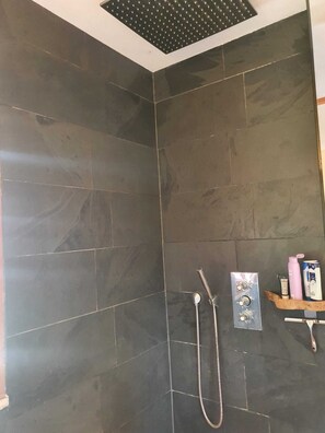 Bathtub, hair dryer, soap, toilet paper