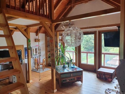 House in Teichland Pool, sauna, fireplace on the Cottbus Baltic Sea with proximity to the Spreewald
