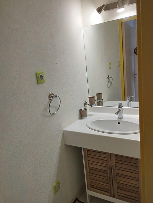 A bathroom with a white sink, a mirror, and a towel ring on the wall.
