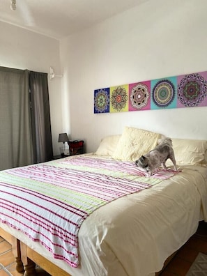 A bedroom with a bed, a dog on the bed, a wall with decorative patterns, a lamp, and a curtain. - Romantic Zone 5 Blocks From the Beach (Puerto Vallarta)
