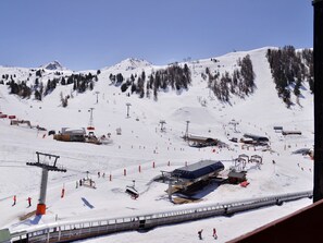 Sneeuw- en skisporten