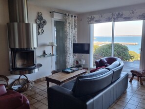 Télévision, cheminée, chaîne hi-fi, imprimantes