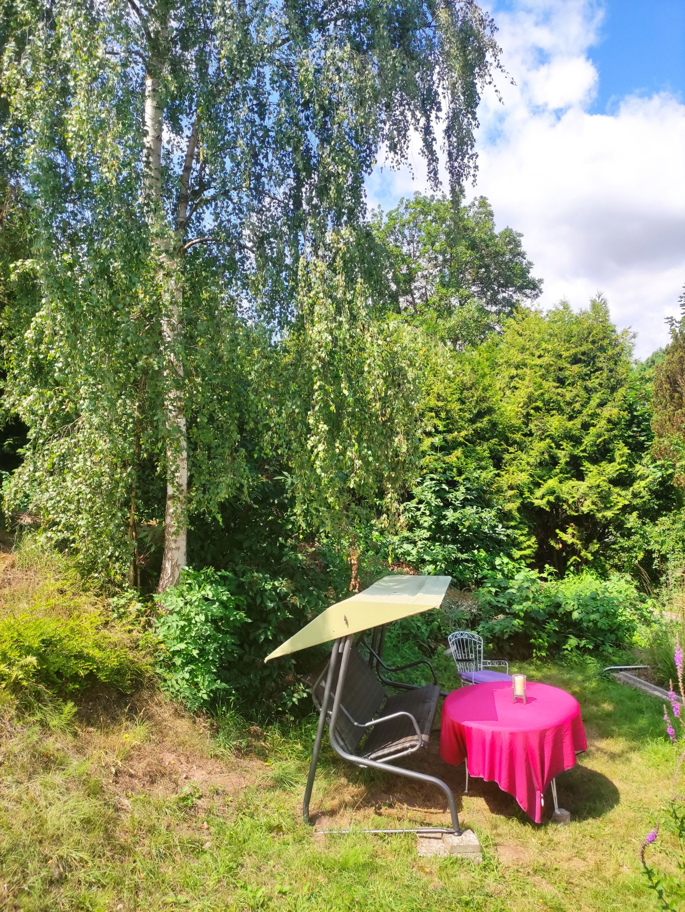 An outdoor seating area with a table and chair, surrounded by dense greenery and trees.