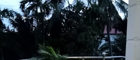 تناول الطعام