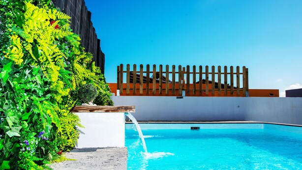 Ein Schwimmbecken mit Holzzaun und üppiger Bepflanzung.
