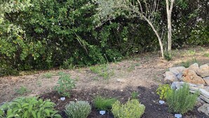 Een bloembed met verschillende planten met labels, een stenen muur en een boom op de achtergrond.