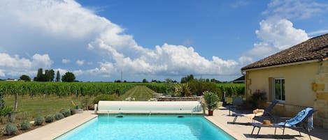 A rectangular swimming pool with a clear blue water surface, surrounded by a tiled deck. There are lounge chairs and a small table with a hat on one of them. In the background, there is a vineyard and a building with a tiled roof.