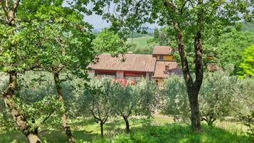 Parco della struttura