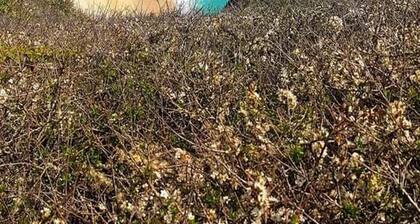 Beautiful 2-bed Holiday Home nr Kynance Cove