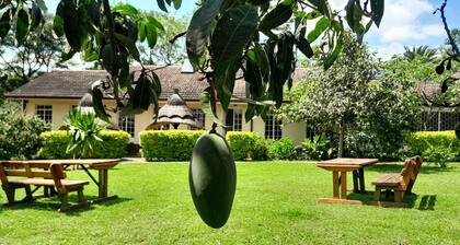 Zebras Dazzle B&B | Room 24 | Fresh, light & natural