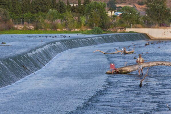 A river with a dam and a log in the water. - Frontline Beach Cullera (Cullera)