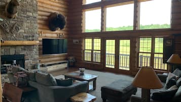 TV connectée, cheminée, lecteur de DVD, livres