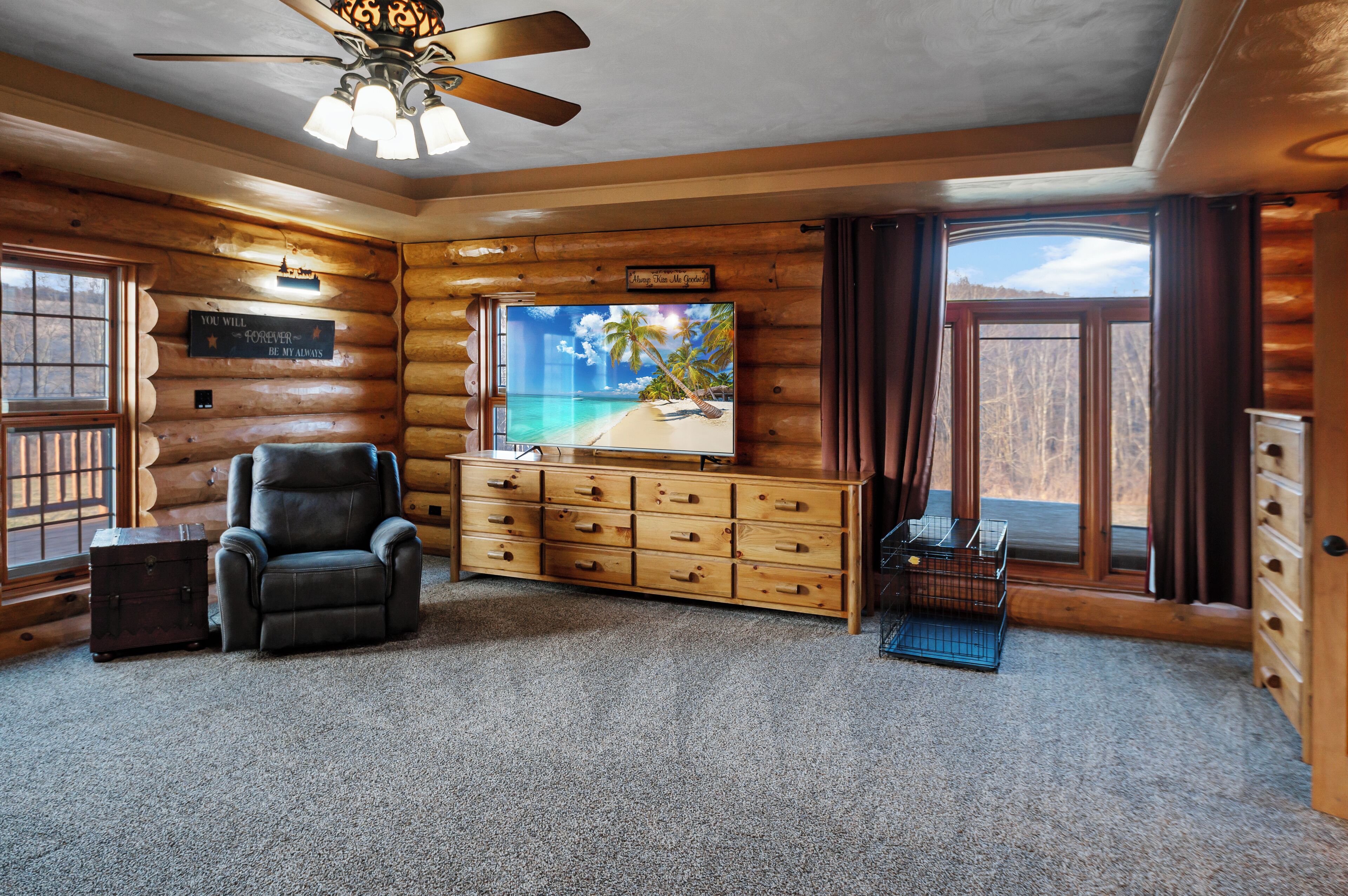 Smart TV, fireplace, DVD player, books